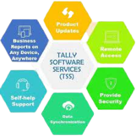 Tally_Software_Services-removebg-preview